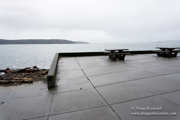 Owen Beach At Pt D