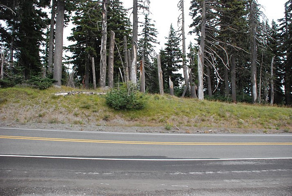 Timberline Road -0817