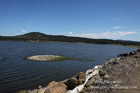 2500 Acres of green fields Creeks water crossing Bridges on a Large Lake and miles of Dirt roads Oak trees Forest land ATV Trails cows