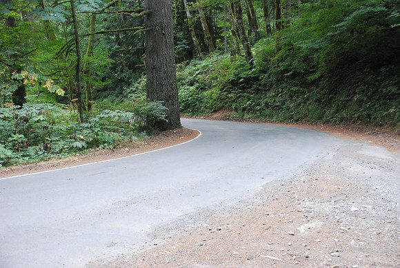 Haines Road-0929
