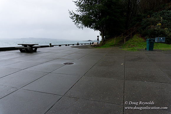 Owen Beach At Pt D