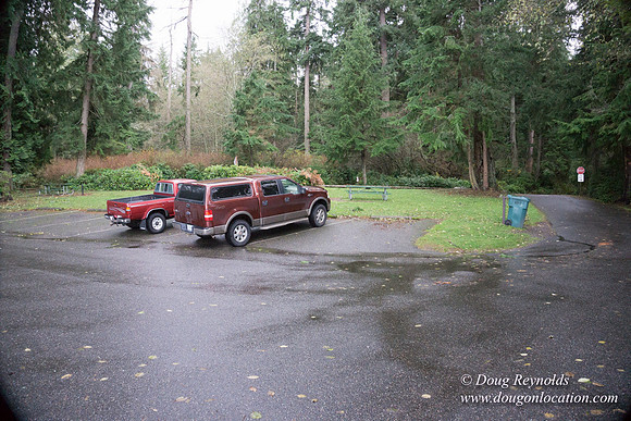 Vashon View