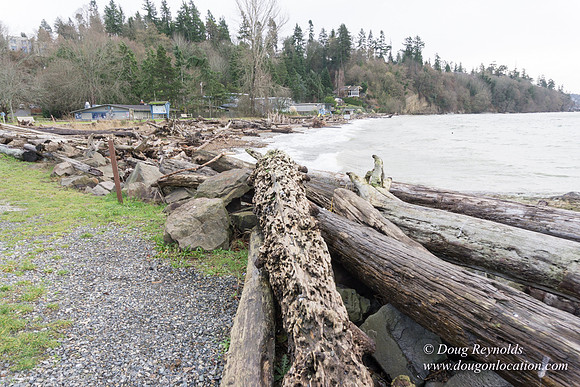 Saltwater State Park