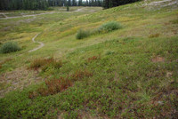 Summit Ski Area-0874