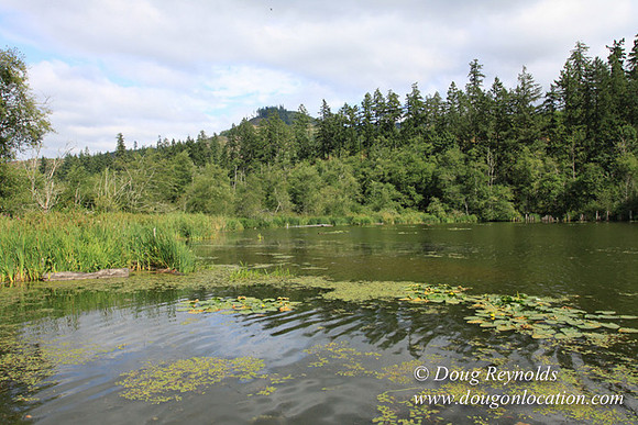 Roberts Lake House-4847