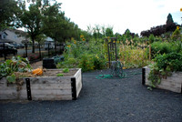Mt Tabor Park community garden
