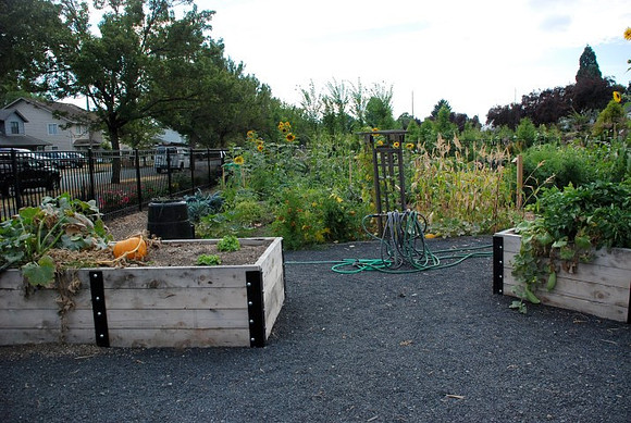 Mt Tabor Park community garden