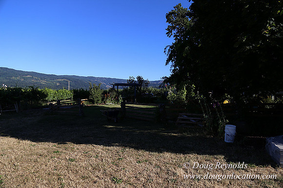 Patricks Farm Well maintained property, Lots of flowers Old Barn Farm House fruit trees Berries, Goats, Chicken’s, Turkey,