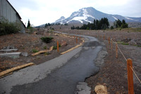 OL lot Timberline-0774