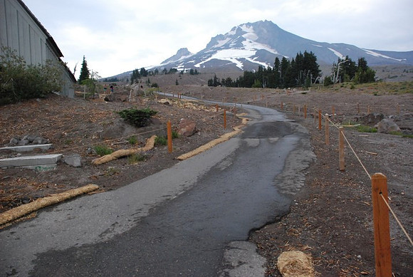 OL lot Timberline-0774