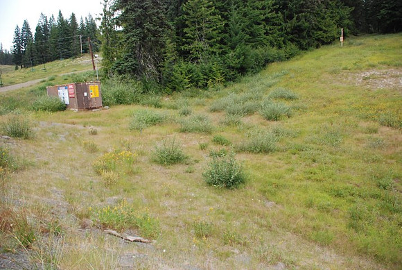 Summit Ski Area-0879