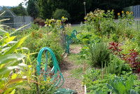 Summers Park Community Garden
