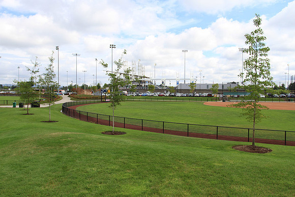 Hillsboro Baseball