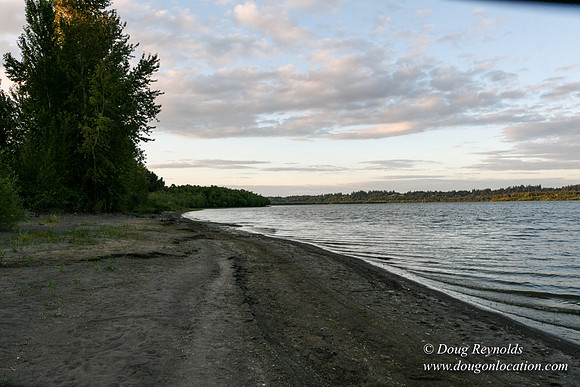 Vancouver Lake Park