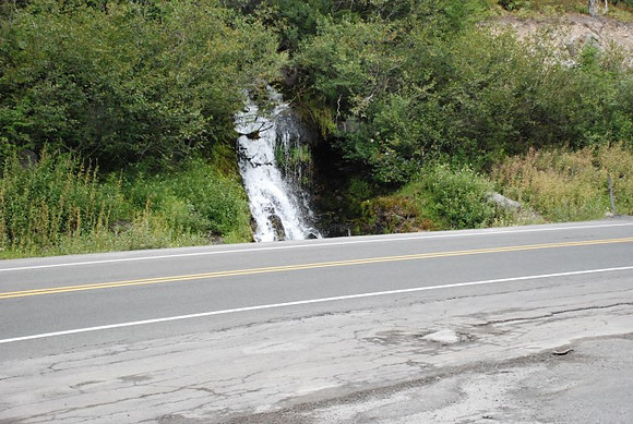 Timberline Road -0849