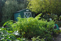 Kennedy community gardens
