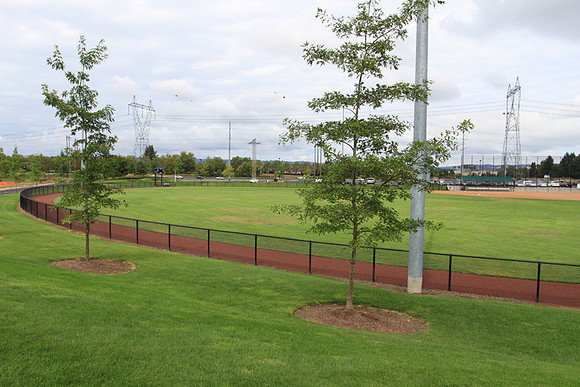 Hillsboro Baseball