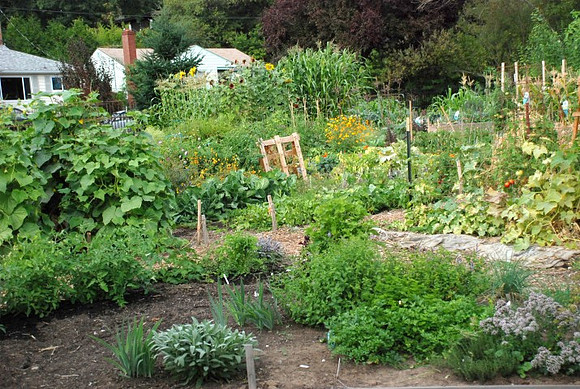 Mt Tabor Park community garden