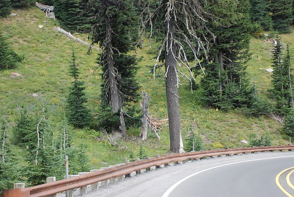 Timberline Road -0801