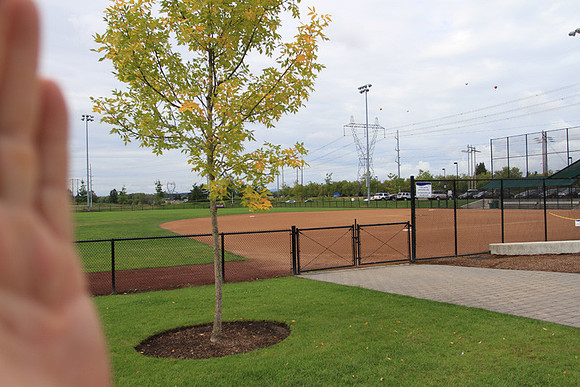 Hillsboro Baseball