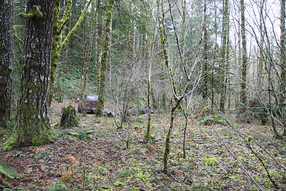 Elk Creek