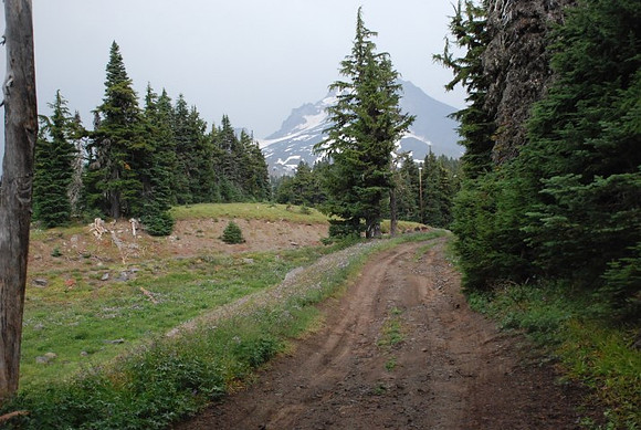 cabins off West Leg Rd-0685