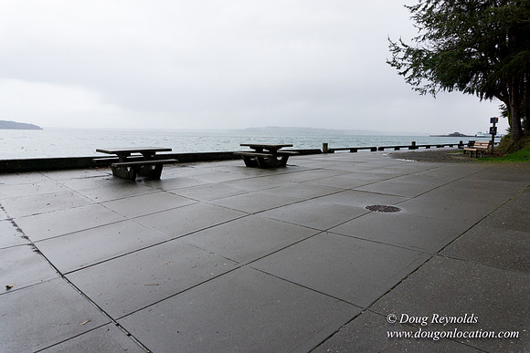 Owen Beach At Pt D