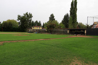 Beaverton Baseball