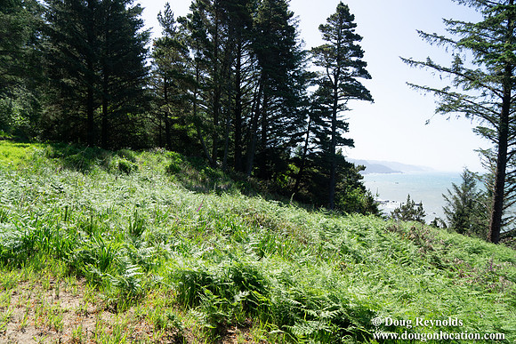 Ranch 26 North Overlook