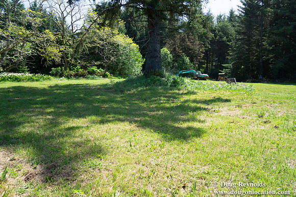 Ranch 26  Bridal Green