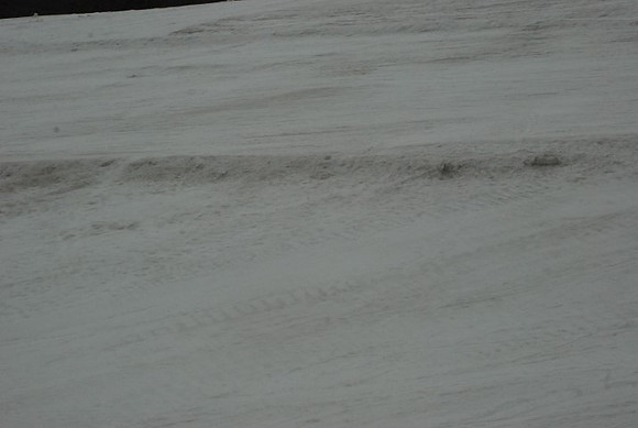 Snow at Timberline-0571
