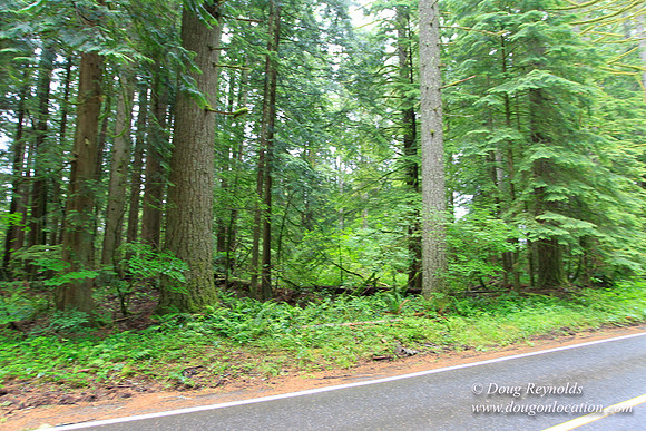 Larch Mt Rd