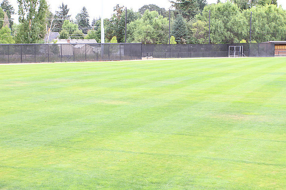 Forest Grove Baseball