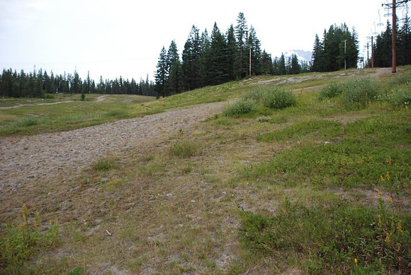 Summit Ski Area-0865