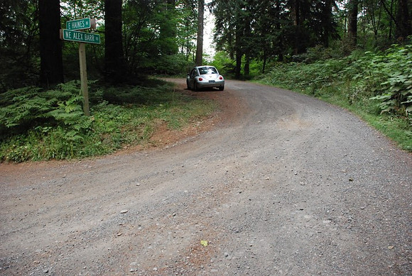 Haines Road-0943