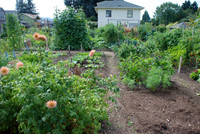 Summers Park Community Garden