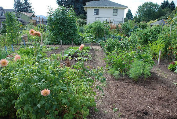 Summers Park Community Garden