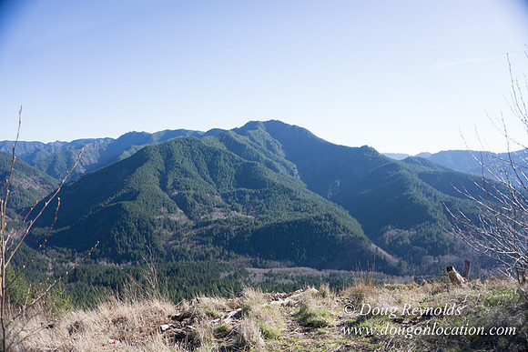 ODF DM View Trail