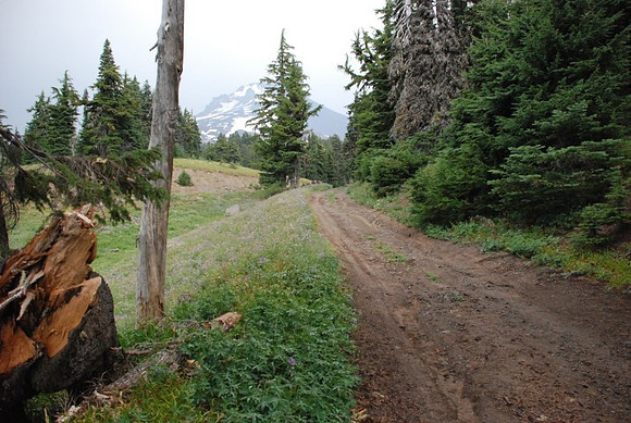 cabins off West Leg Rd-0687
