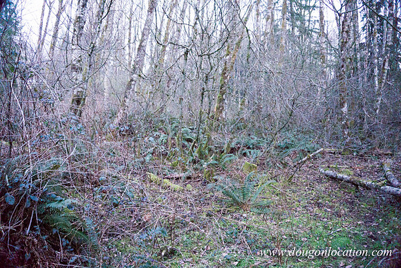 Adams Farm-3108