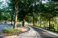 Vancouver Lake Park