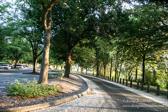 Vancouver Lake Park