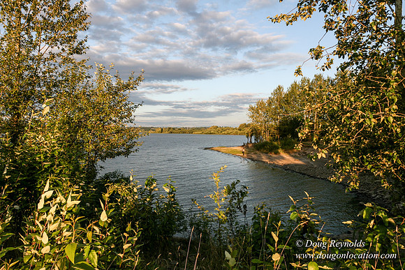 Vancouver Lake Park