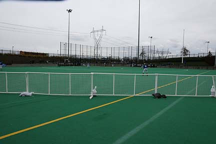 Hillsboro Sports Center