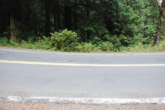 Brower Road-0972