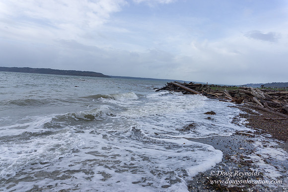 Saltwater State Park