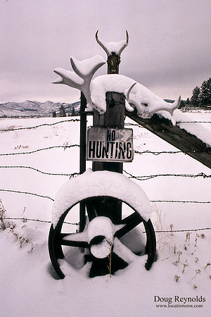 Antlers on post B&W