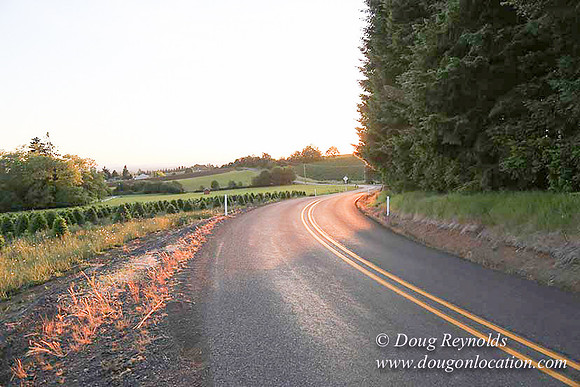 Hwy 214 M18-7646