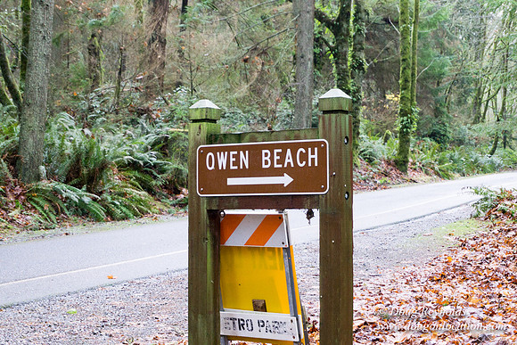 Owen Beach At Pt D
