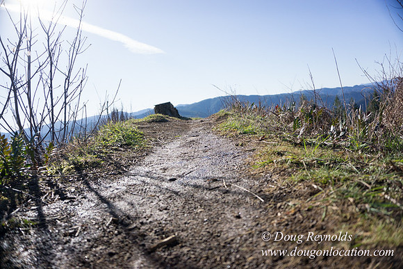 ODF DM View Trail